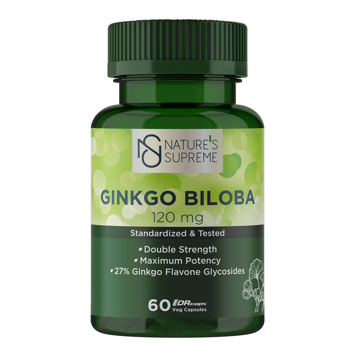 Ginkgo Biloba