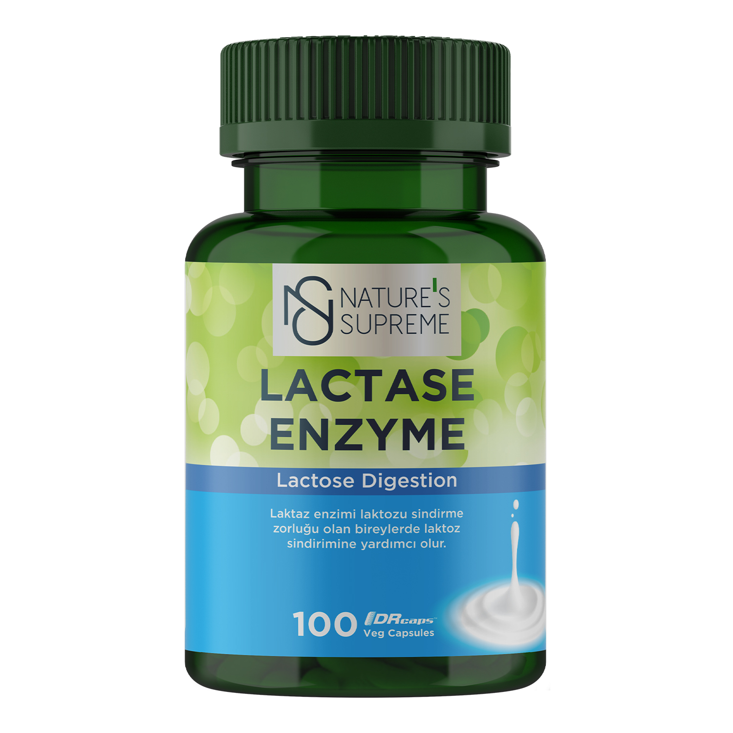 Lactase Enzyme